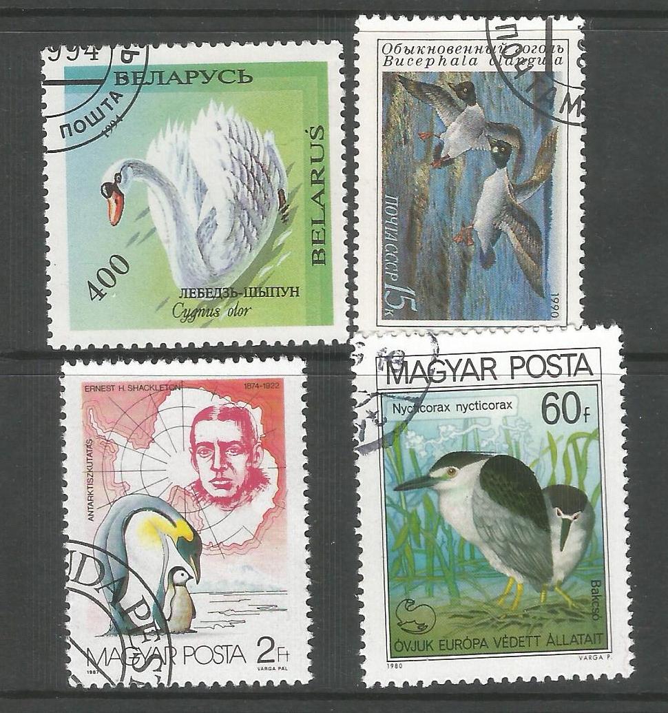 Birds Theme 4 Different Used Unique Stamps set from Diff countries – Rare  !!! – The RainKey