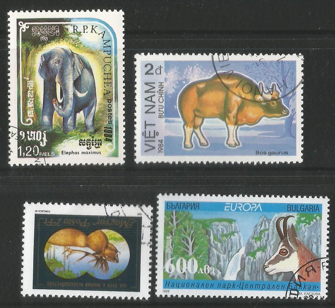 Animals Theme 4 Different Used Unique Stamps set from 4 Diff countries –  Rare !!! – The RainKey